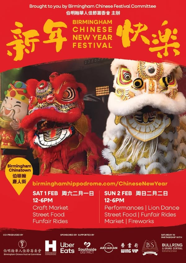 Year of the Snake Flyer